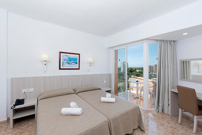 HSM Canarios Park 12