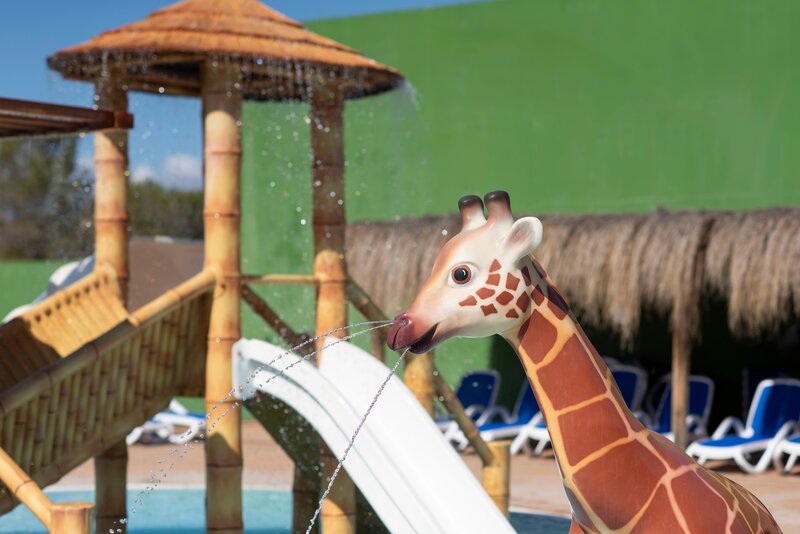 HSM Canarios Park 30