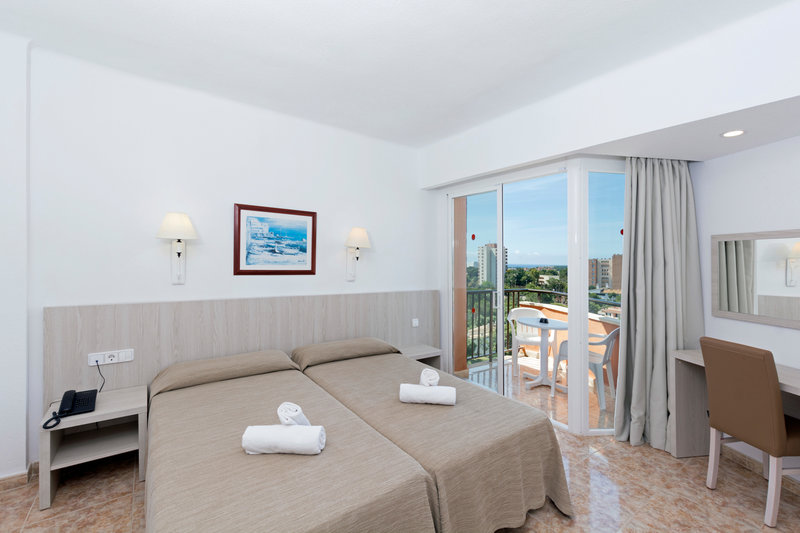 HSM Canarios Park 42