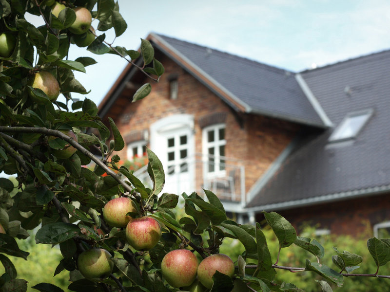 Landhotel Burg im Spreewald 1