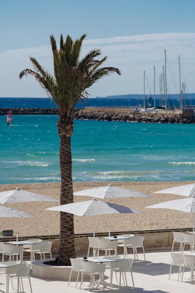 THB El Cid 6