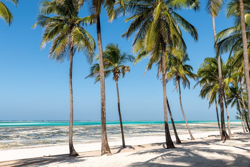 Karafuu Beach Resort & Spa 15