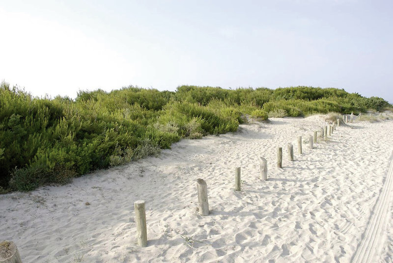 Es Baulo Petit Hotel 9