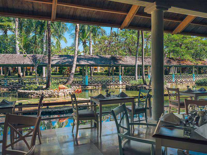 Iberostar Bavaro Suites 6