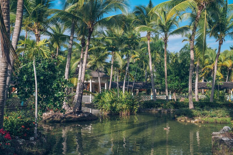 Iberostar Bavaro Suites 48