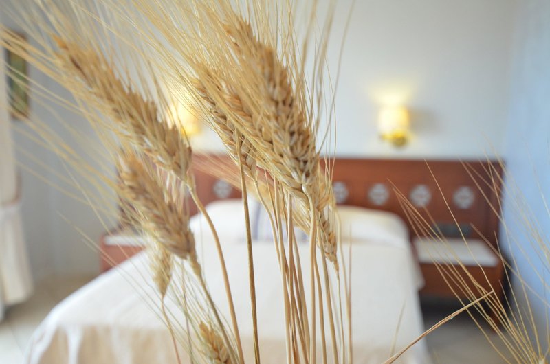 Evilion Sea & Sun Hotel 101