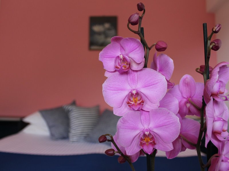 Albergo Residence Pucara 17