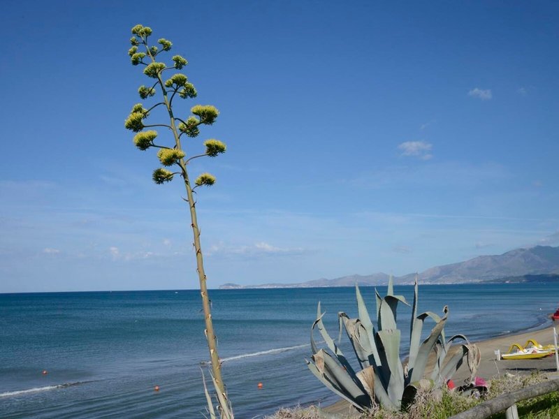 Villaggio Camping Baia Domizia 9