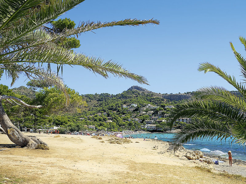 Apartamentos Massanet 1