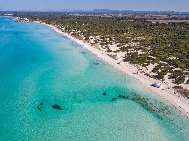 Blau Colonia Sant Jordi 18