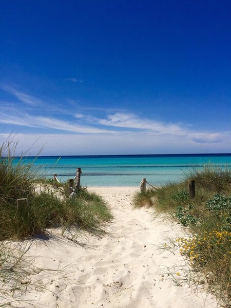 Blau Colonia Sant Jordi 48