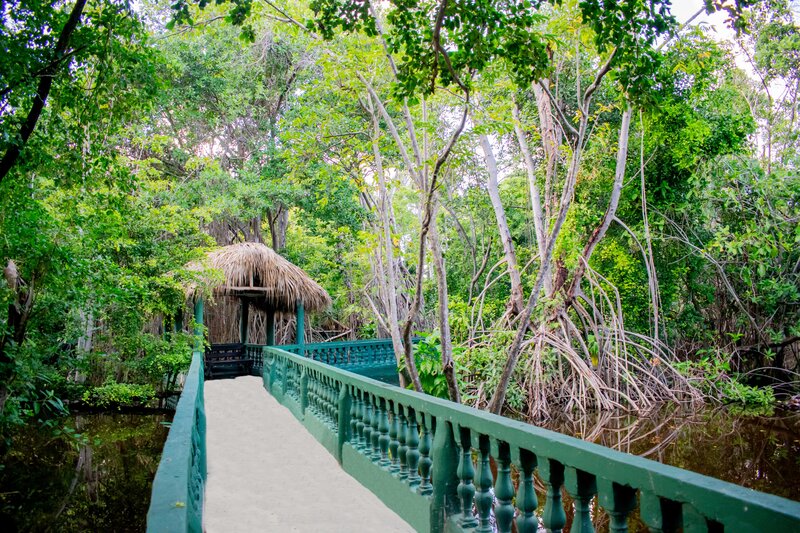 Bavaro Princess All Suites Resort,Spa & Casino 87