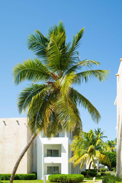 Grand Bavaro Princess 58