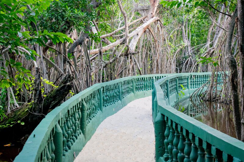 Grand Bavaro Princess 73