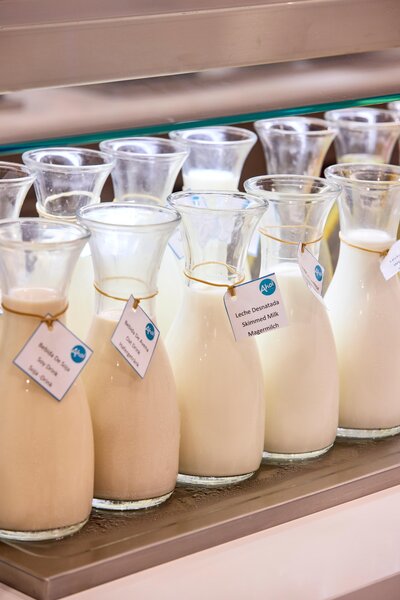 Ahoi! Urban Beach Hotel 108