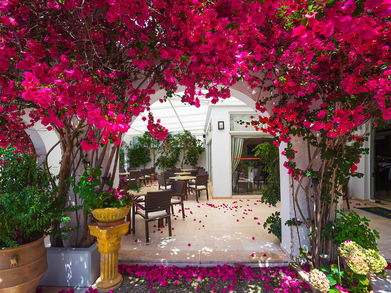 Kyparissia Beach Hotel 5
