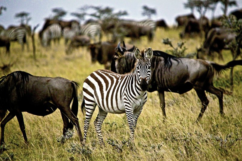 Mahali Mzuri 13
