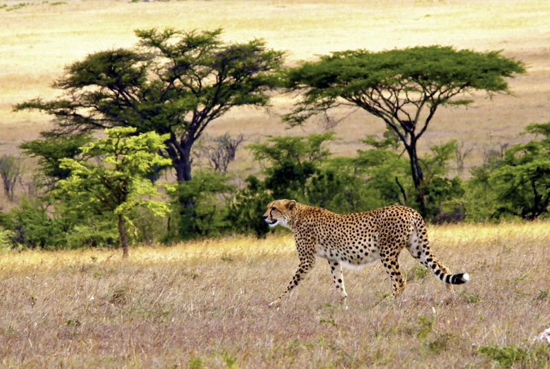 Mahali Mzuri 16