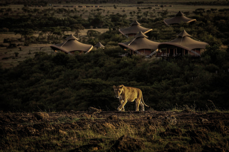 Mahali Mzuri 21