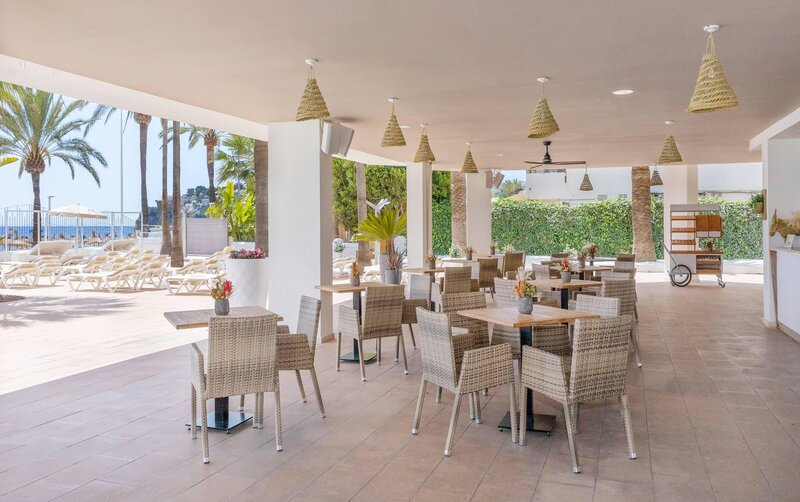 Sol House The Studio - Calvia Beach 14