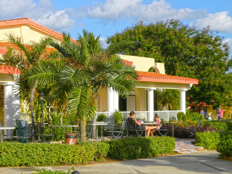 Starfish Cayo Guillermo 1