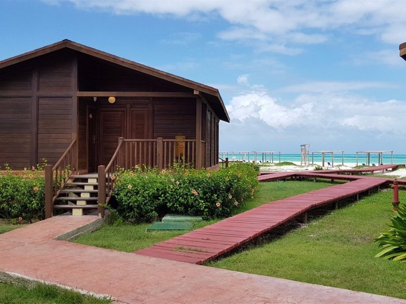 Starfish Cayo Guillermo 3