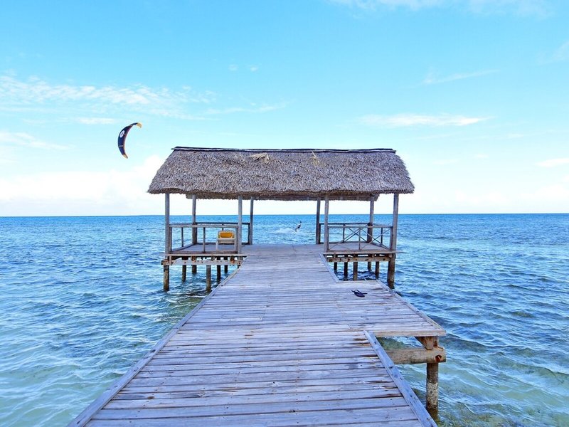 Starfish Cayo Guillermo 6