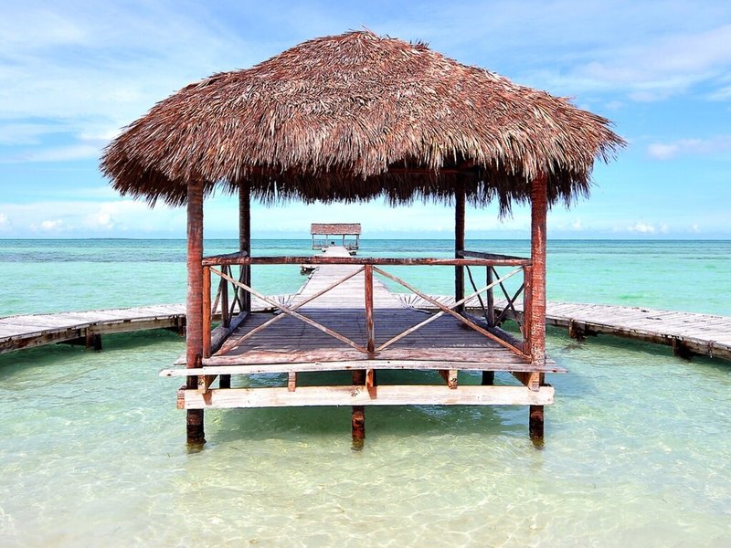 Starfish Cayo Guillermo 10