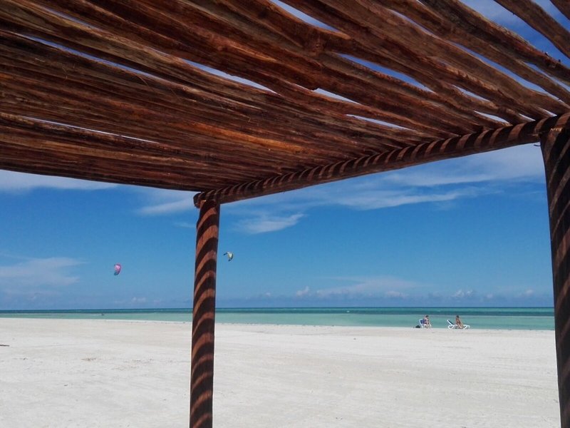 Starfish Cayo Guillermo 12