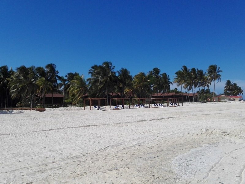 Starfish Cayo Guillermo 14