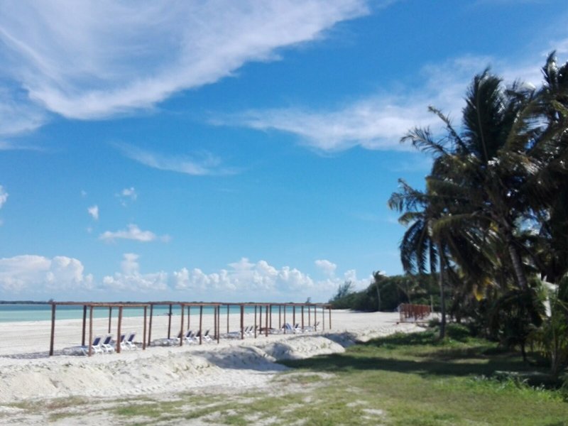 Starfish Cayo Guillermo 15