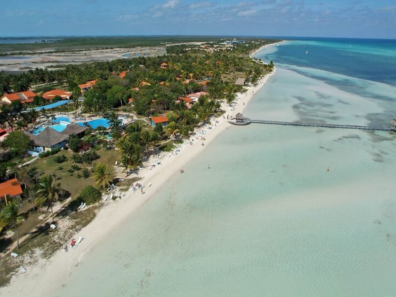 Starfish Cayo Guillermo 16