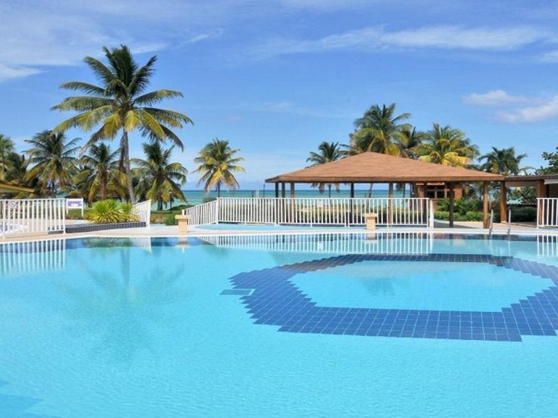 Starfish Cayo Guillermo 17