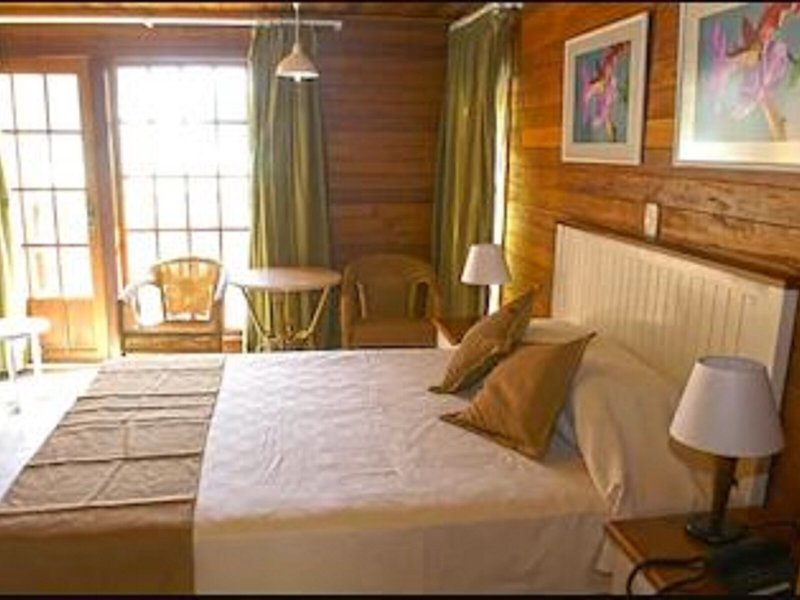 Starfish Cayo Guillermo 41