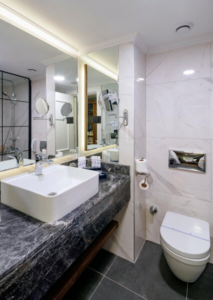 Asteria Kremlin Palace  13