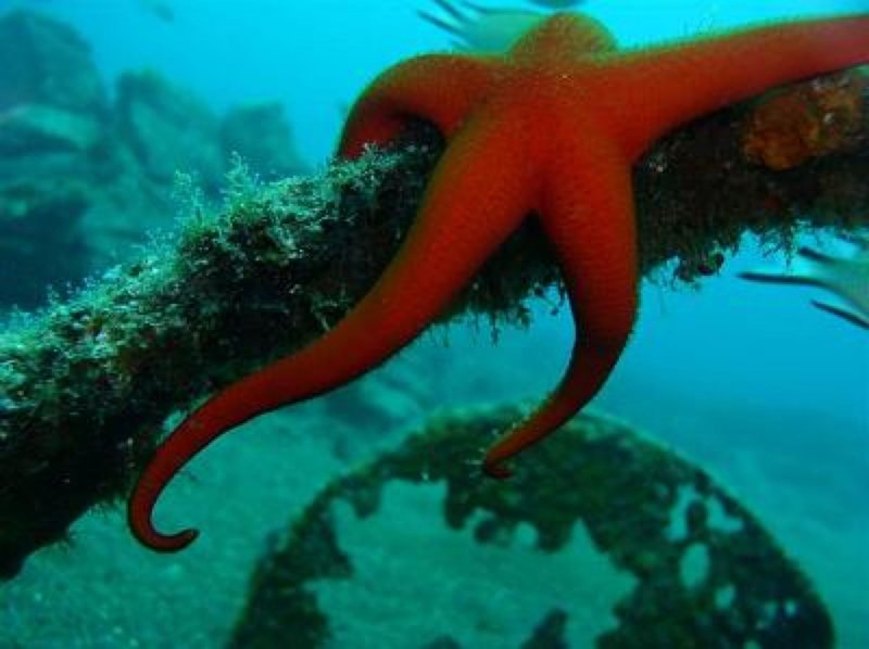 Costa Calero Talaso & Spa 40