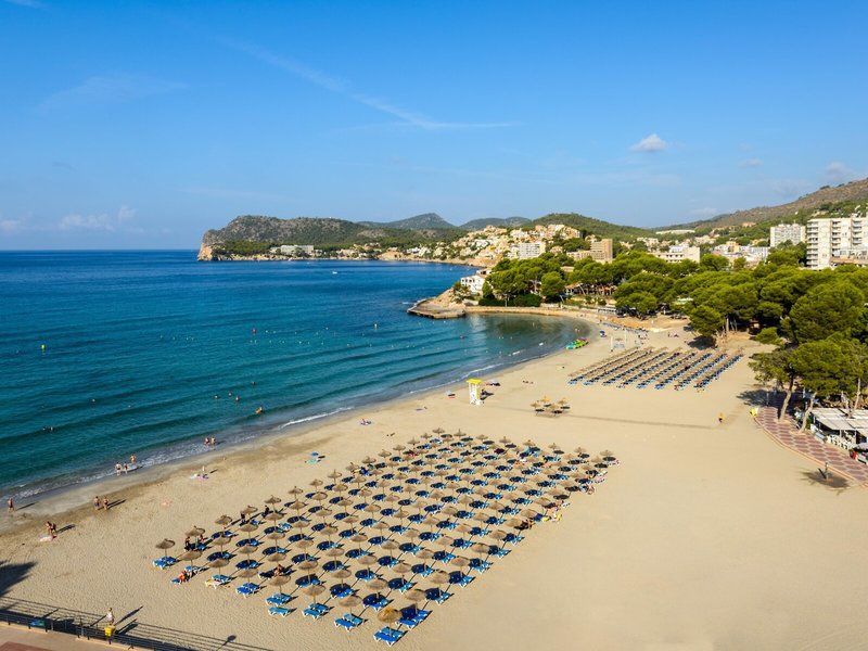 Vibra Beverly Playa 6