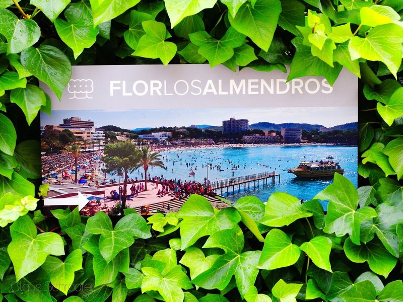 Flor Los Almendros Hotel 9