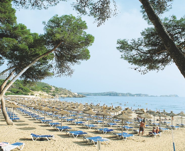 Hotel Morlans Garden 5