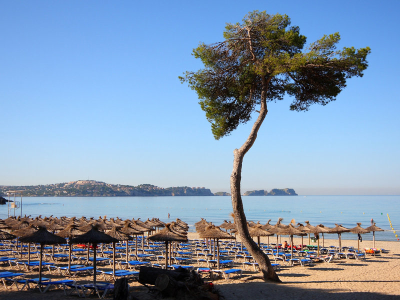 Valentin Reina Paguera Hotel - Erwachsenenhotel 5