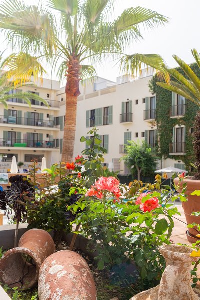 Venecia Paguera Hotel 13