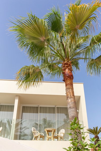 Venecia Paguera Hotel 29