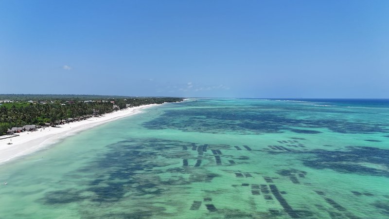 Bluebay Beach Resort & Spa 16