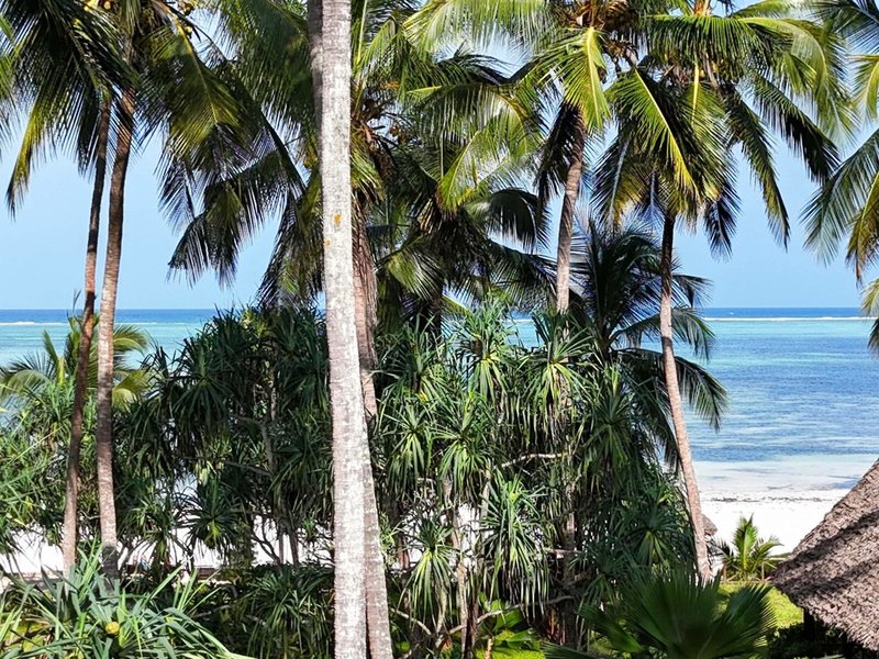 Bluebay Beach Resort & Spa 13