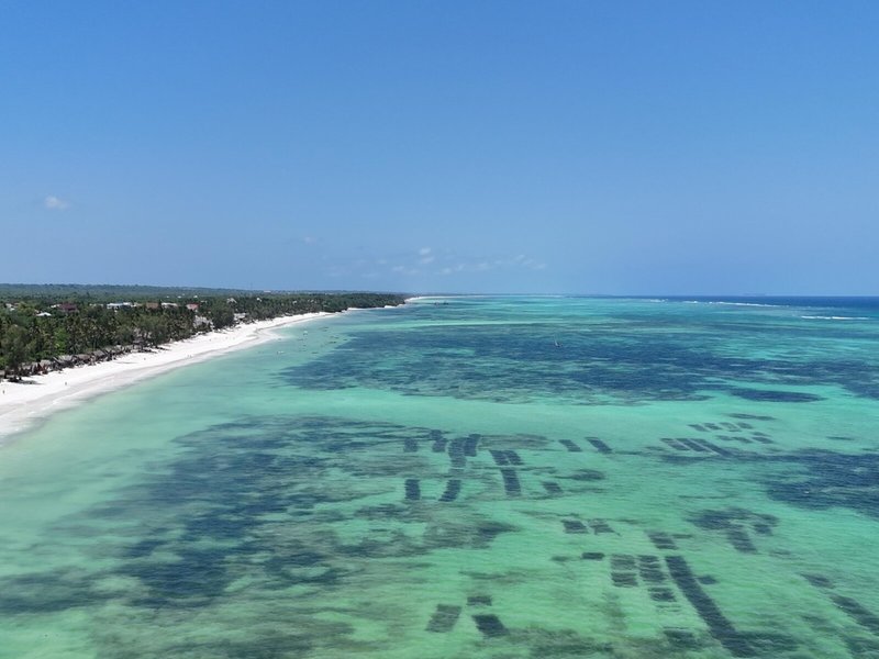 Bluebay Beach Resort & Spa 15