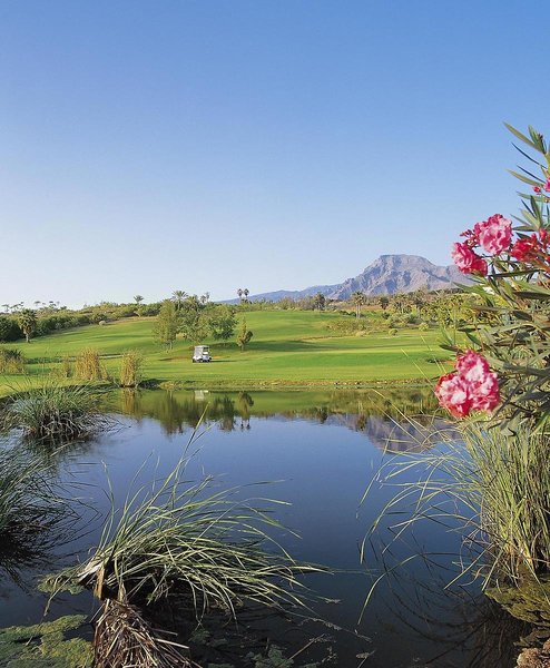 Las Madrigueras Golf Resort & Spa 17