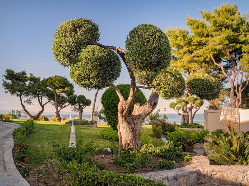 Aegean Melathron Thalasso Spa Hotel 237