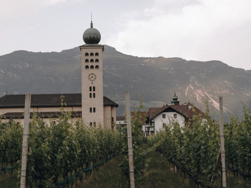 Schwarzschmied 19