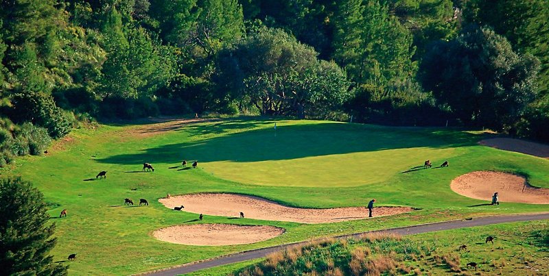 Pure Salt Garonda 26