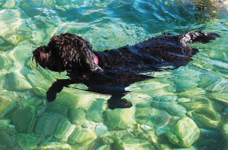 Olimpia Hotel & Aparthotel  19